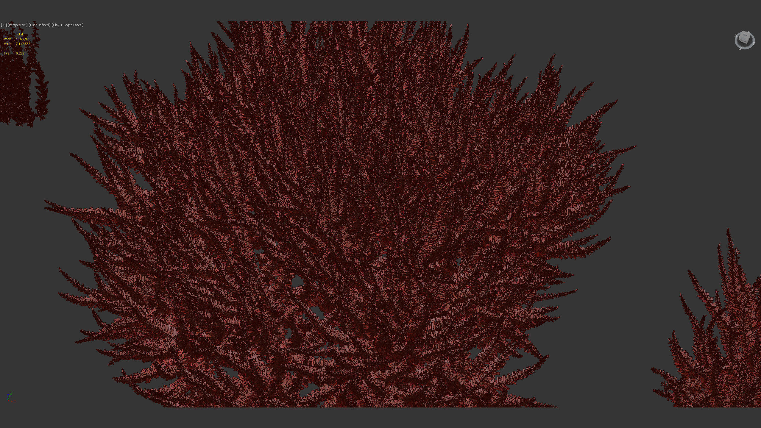 Calluna vulgaris Scotch heather 3D model_12