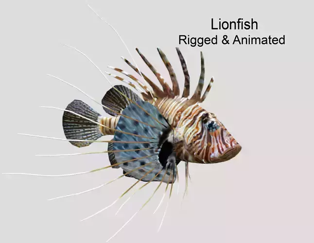 Lionfish Realistic Animated Low-poly 3D model