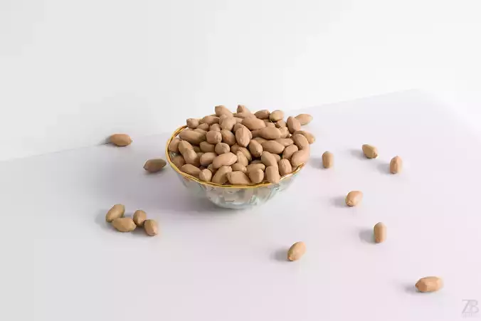 Peanut 3D model
