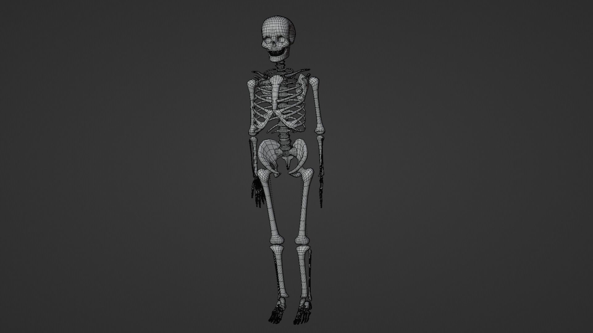 Human Skeleton 3D model_1