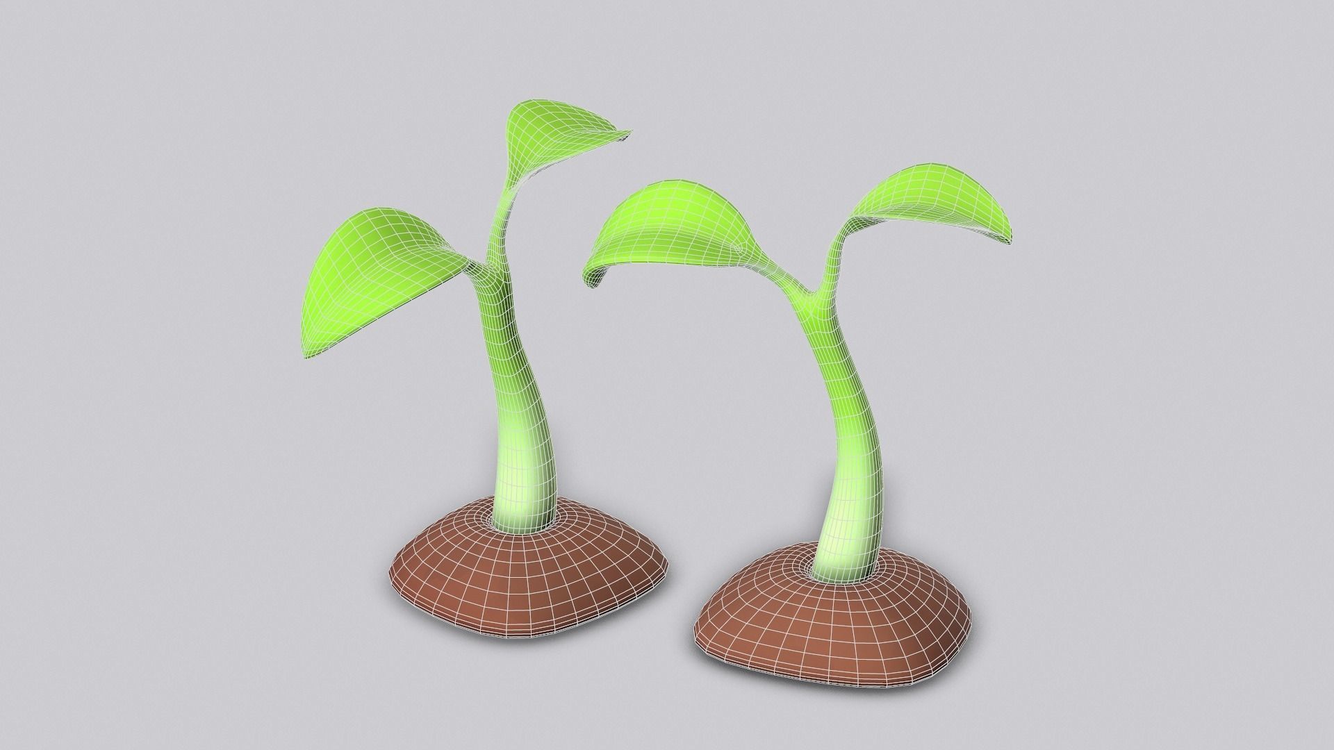 Sapling Plant Sprout Low-poly 3D model_4