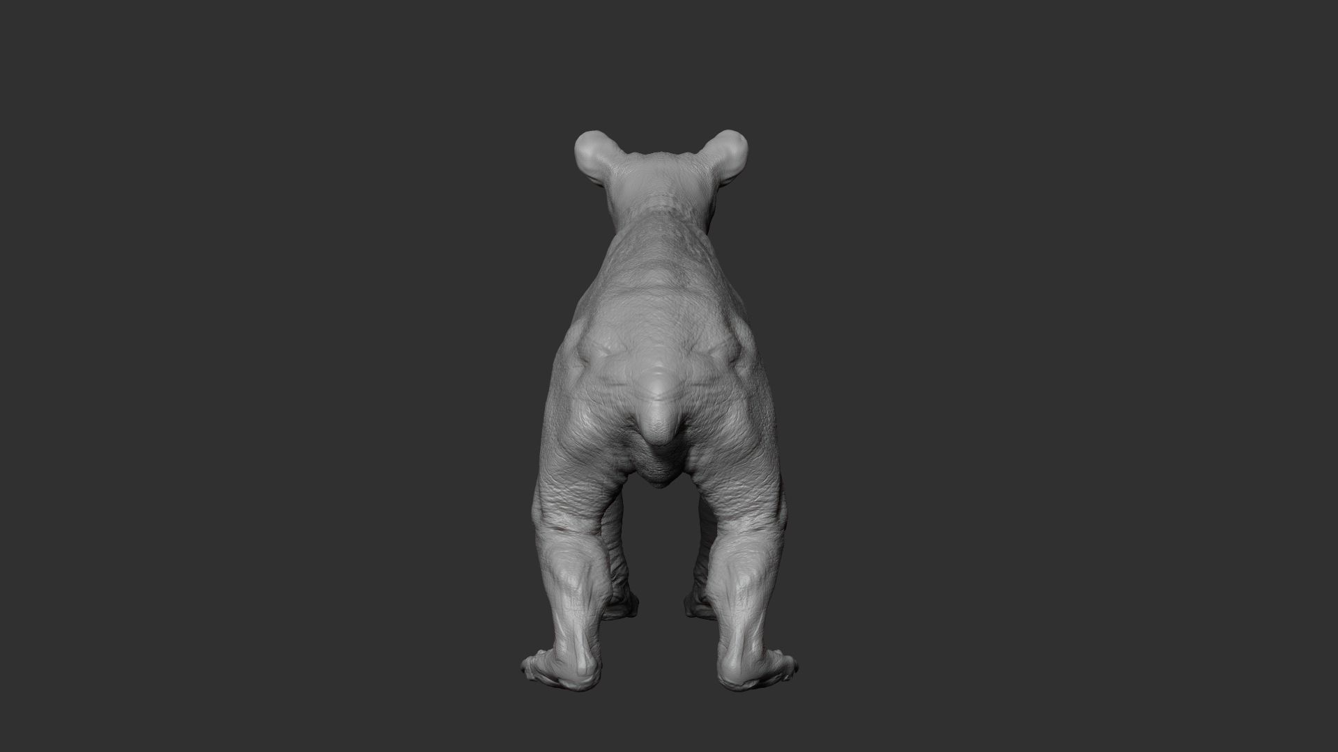 Baby Bear 3D model_8