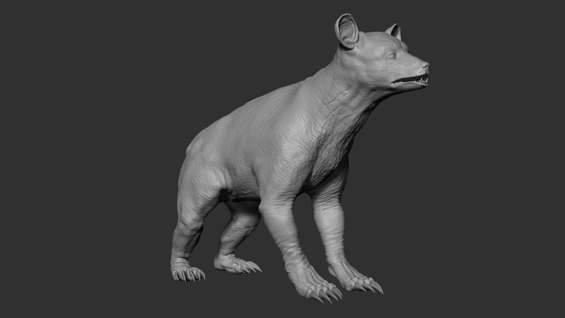 Baby Bear 3D model_5