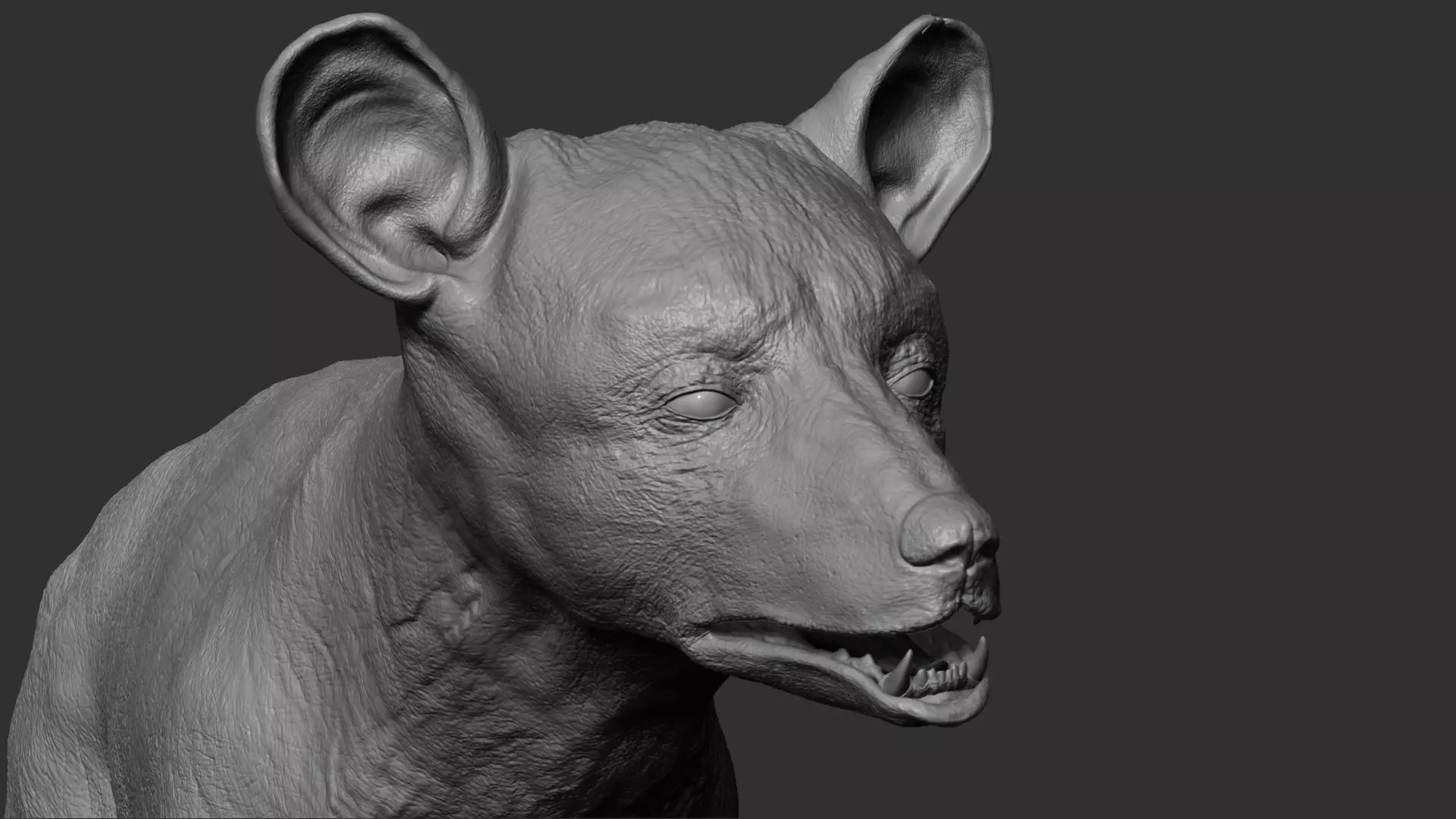 Baby Bear 3D model_0