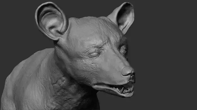Baby Bear 3D model