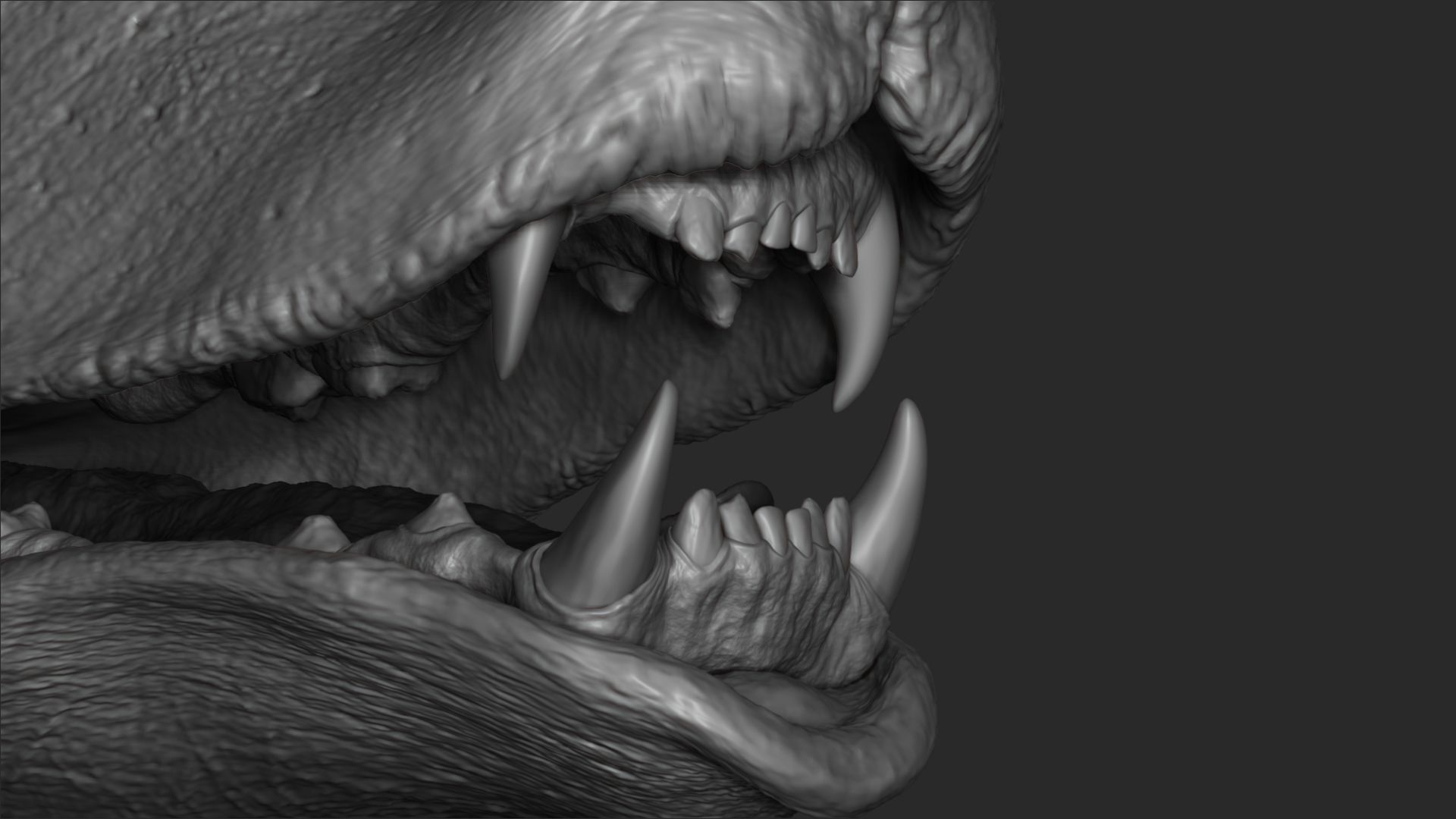 Baby Bear 3D model_2