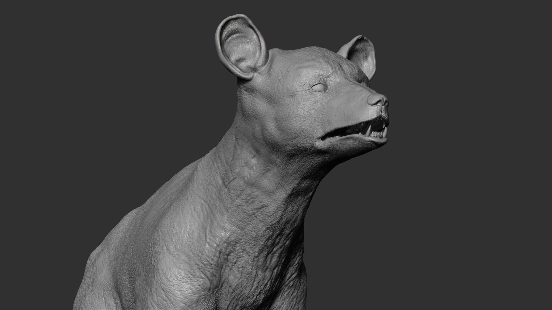 Baby Bear 3D model_3