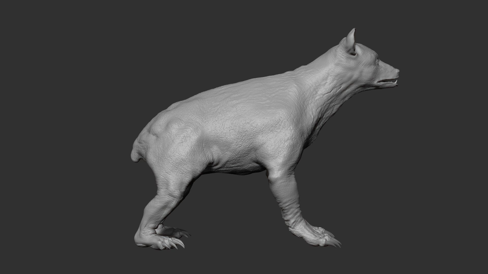 Baby Bear 3D model_6