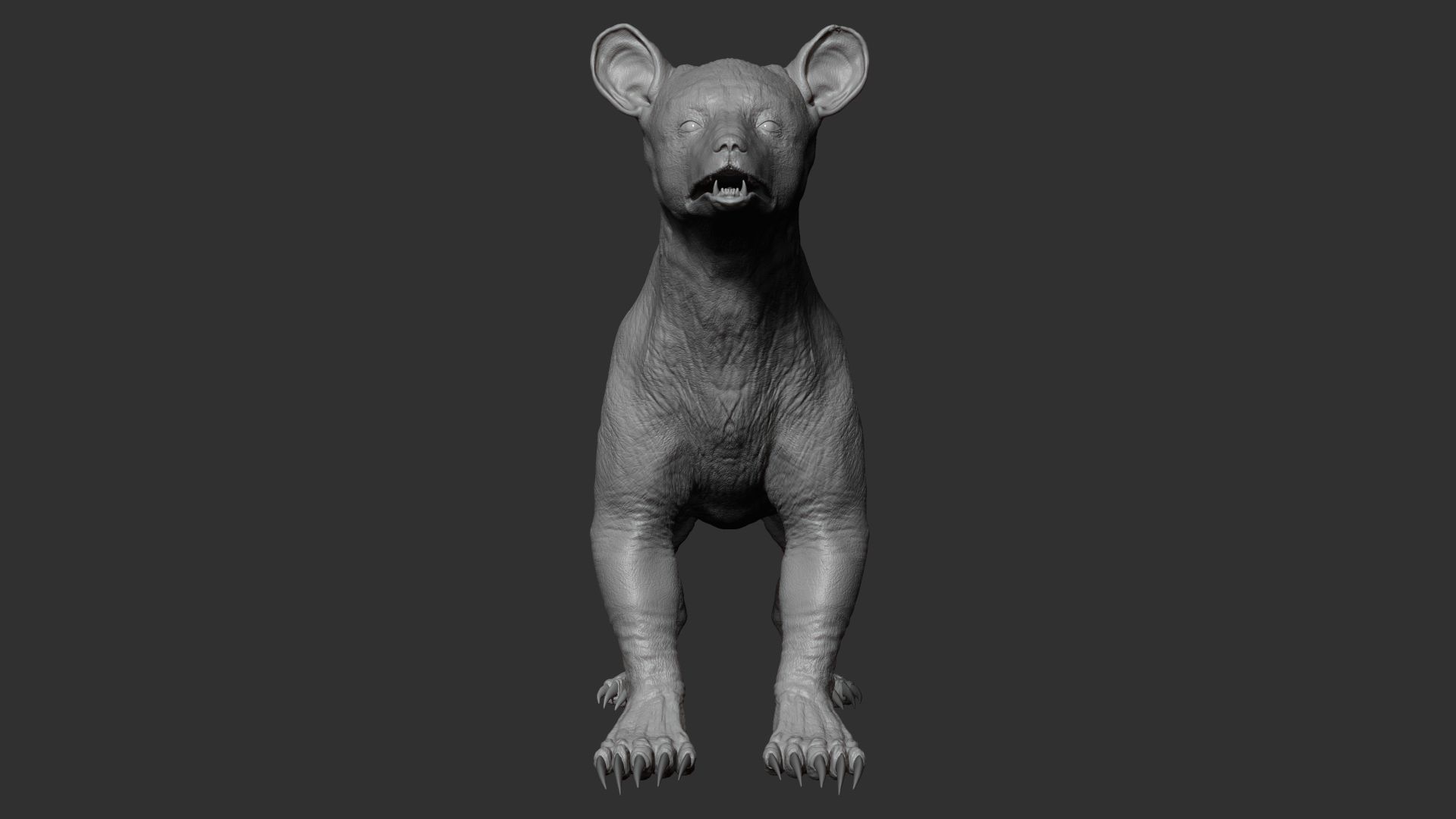 Baby Bear 3D model_4