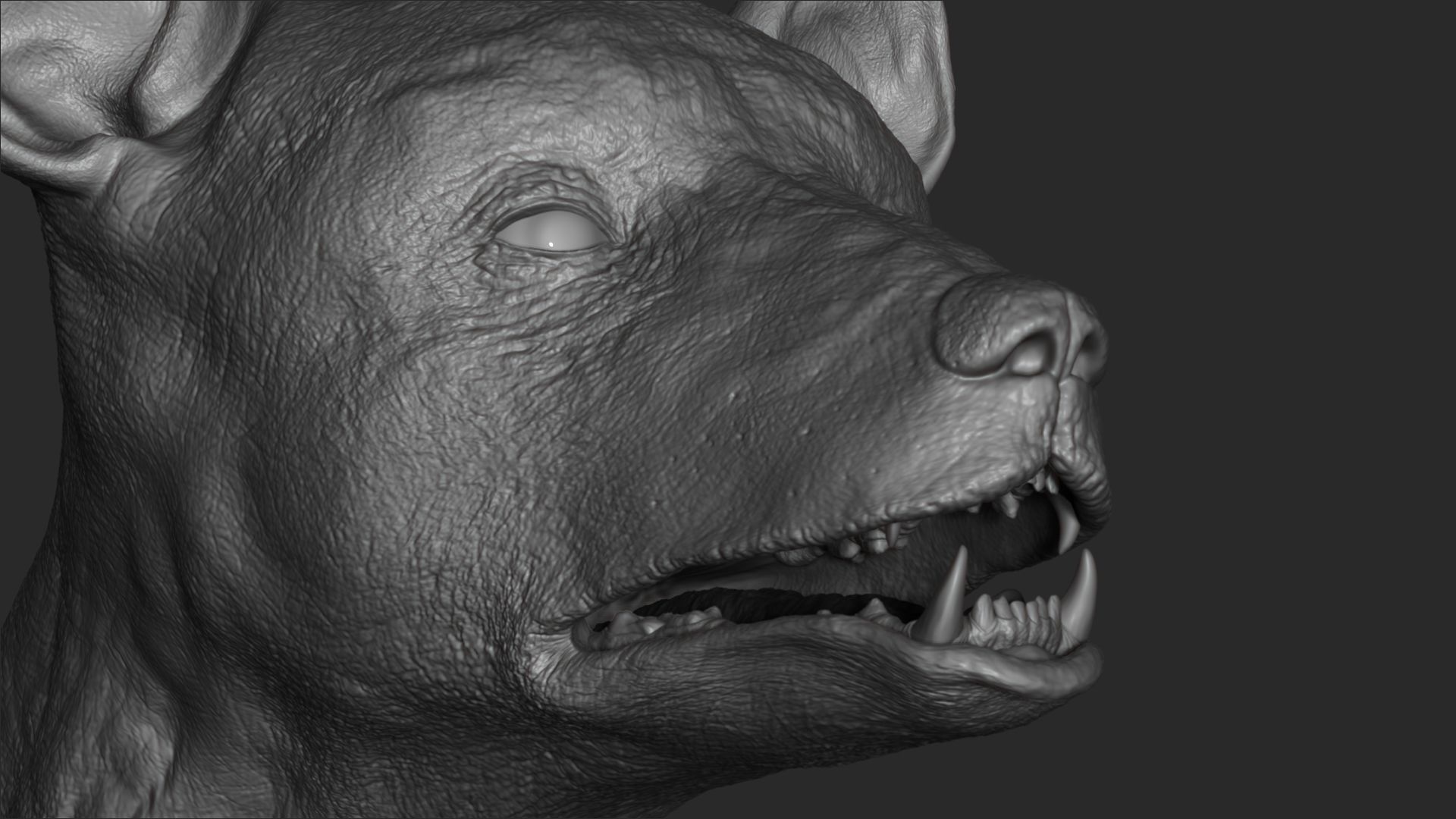 Baby Bear 3D model_1