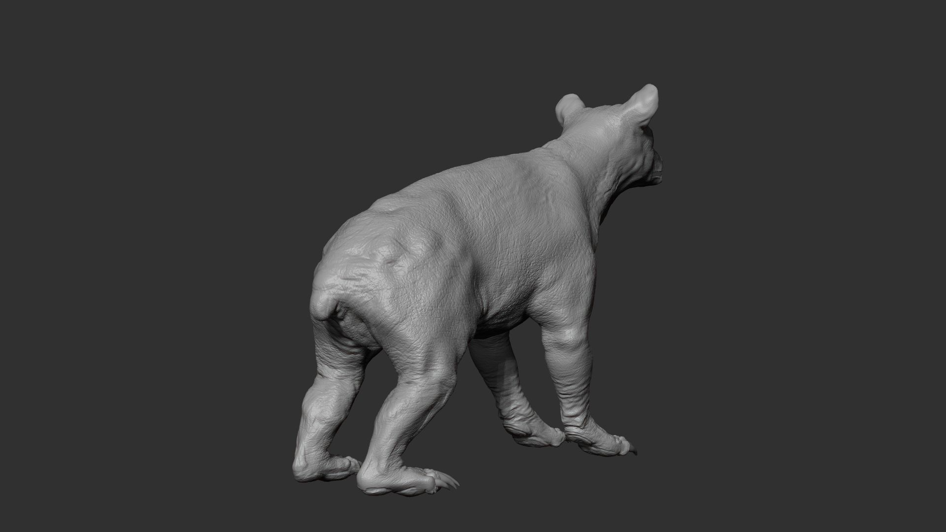 Baby Bear 3D model_7