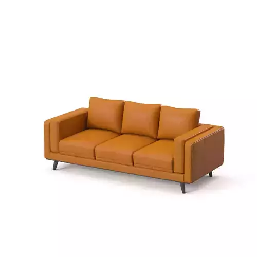 Leather Sofa