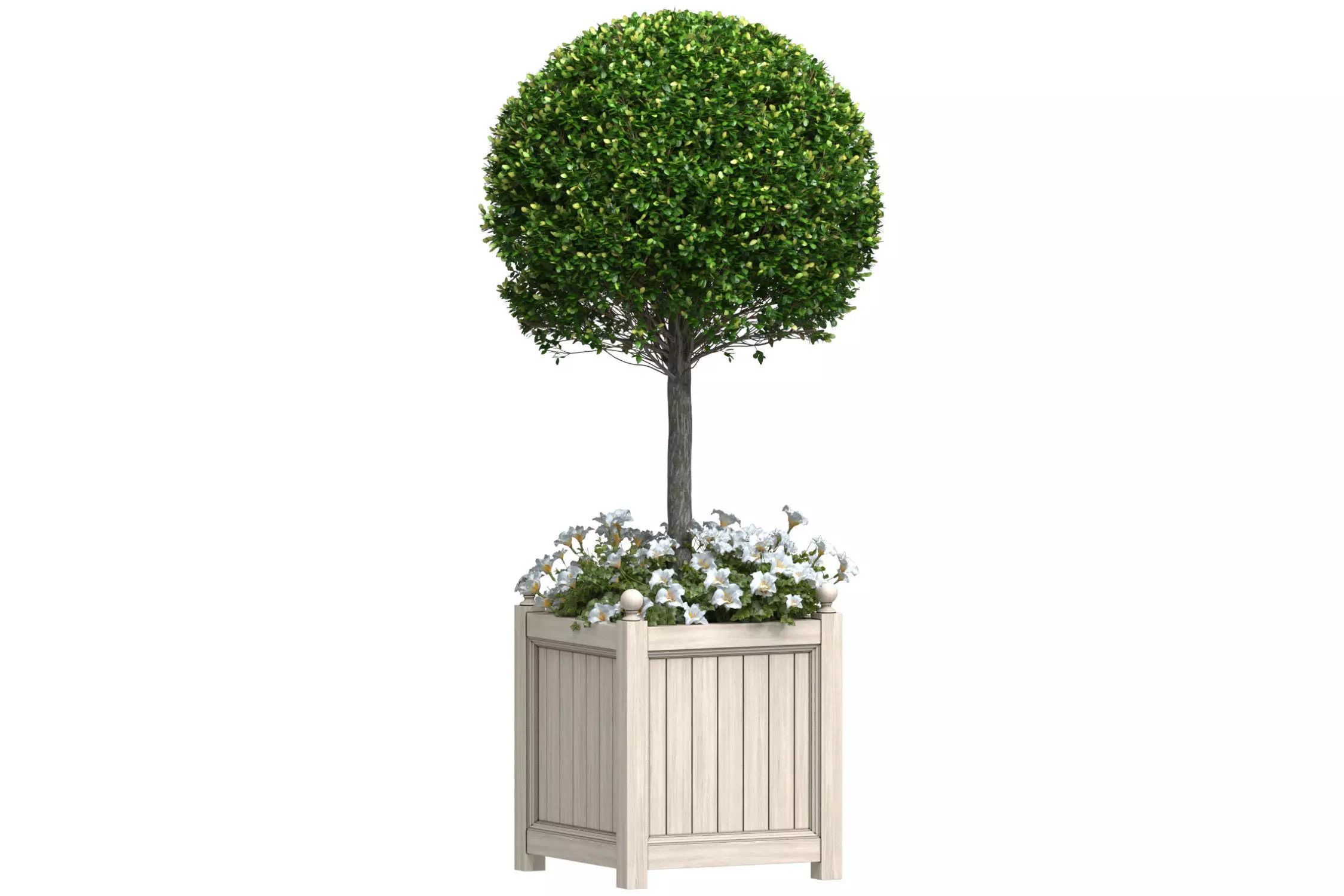 Decorative Front Entrance Porch Tree in a flower bed 3D model