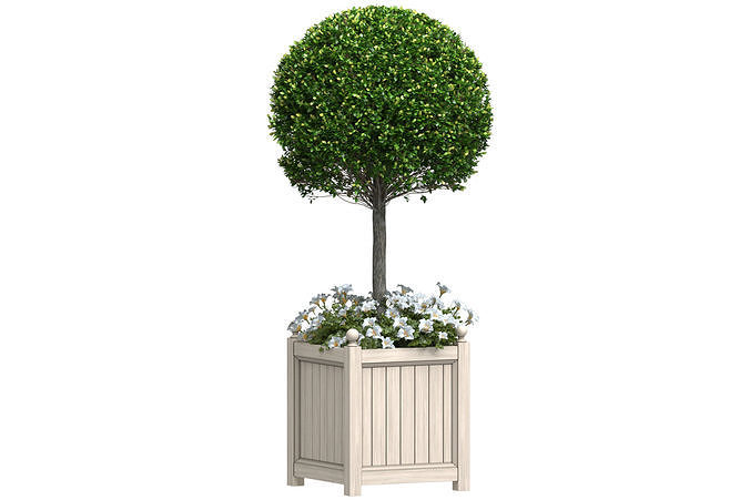 Decorative Front  Entrance Porch  Tree in a flower bed 3D model