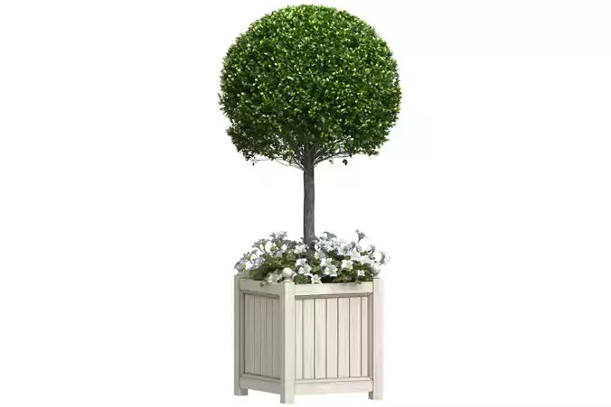 Decorative Front  Entrance Porch  Tree in a flower bed