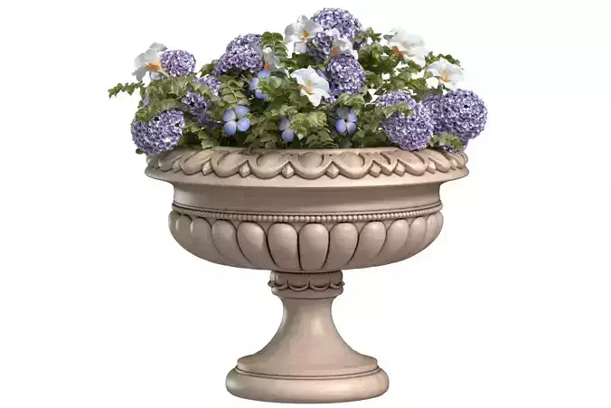 Flowers Garden Plant Vase Flowerpot Patio
