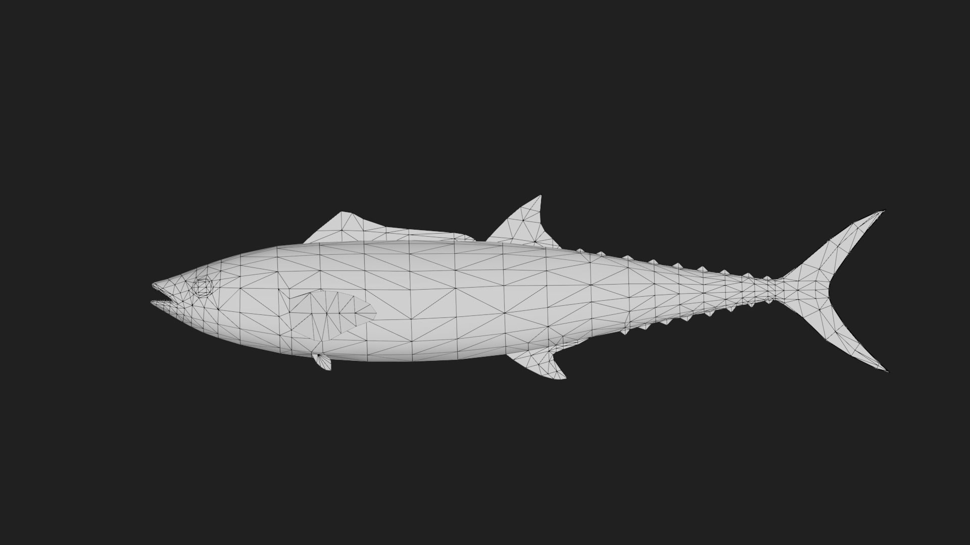 Mackerel Low-poly 3D model_1