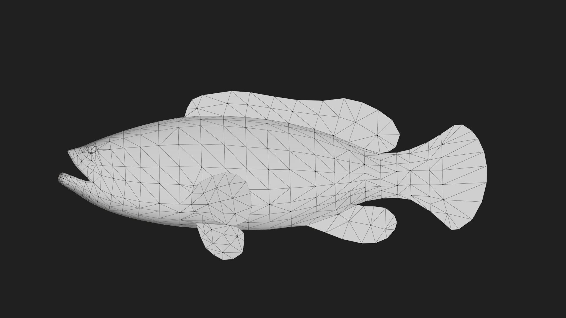 Grouper Low-poly 3D model_1