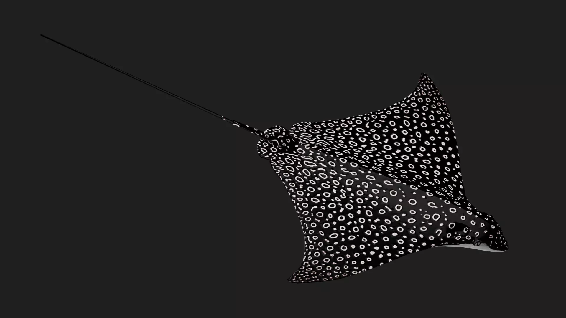 Devilfish Low-poly 3D model_0