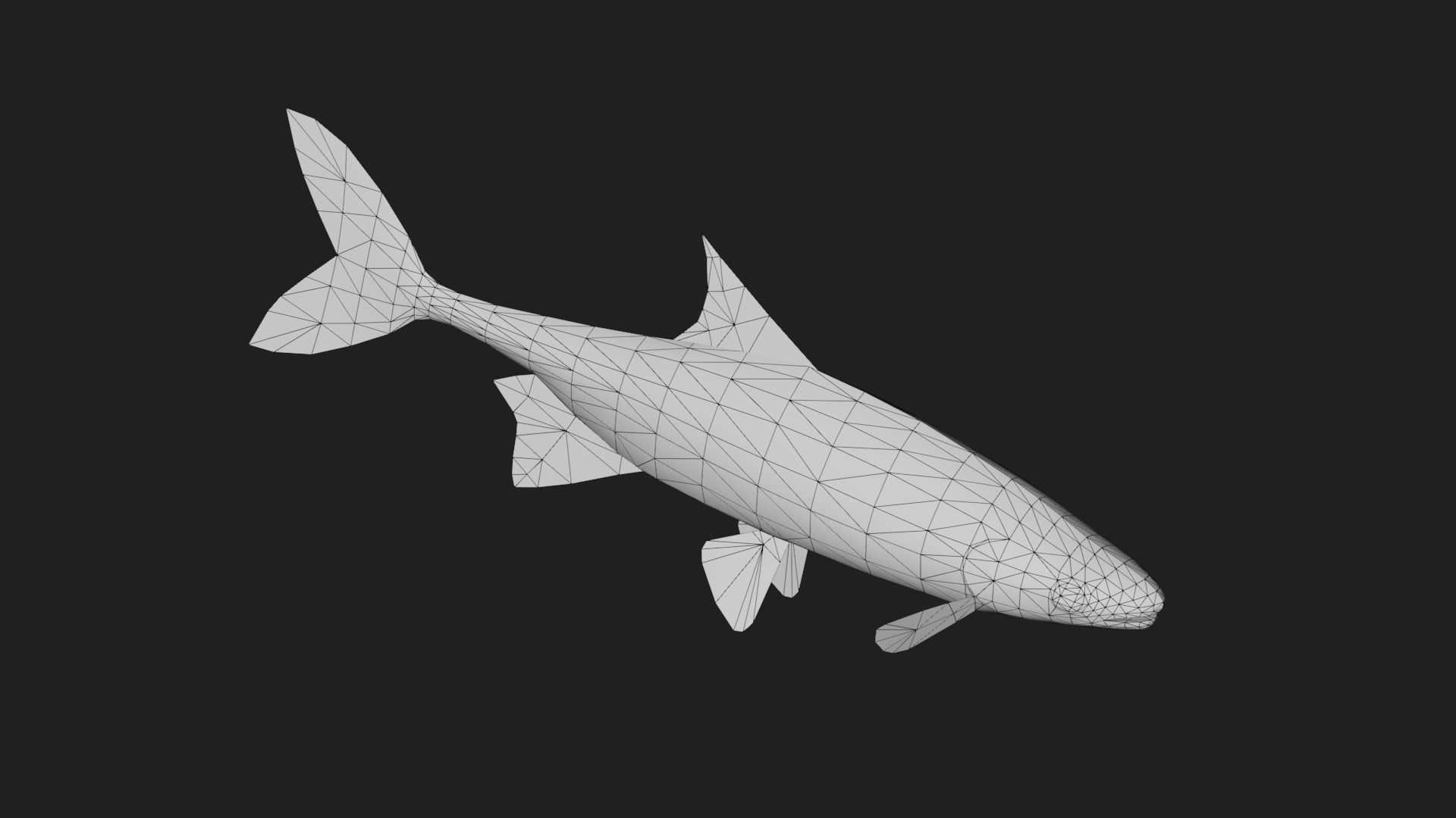 Carp fish Low-poly 3D model_5