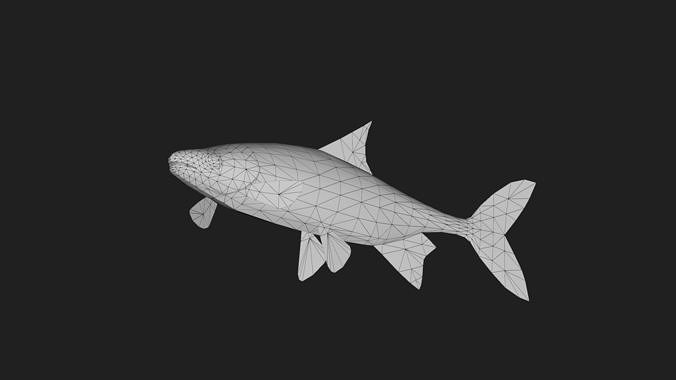 Carp fish Low-poly 3D model 4