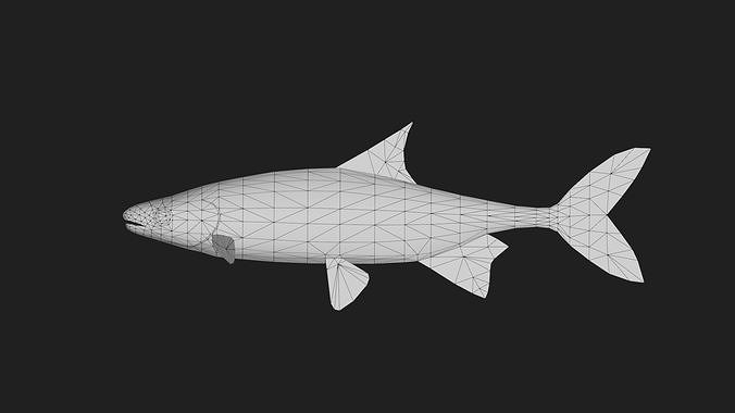 Carp fish Low-poly 3D model 2