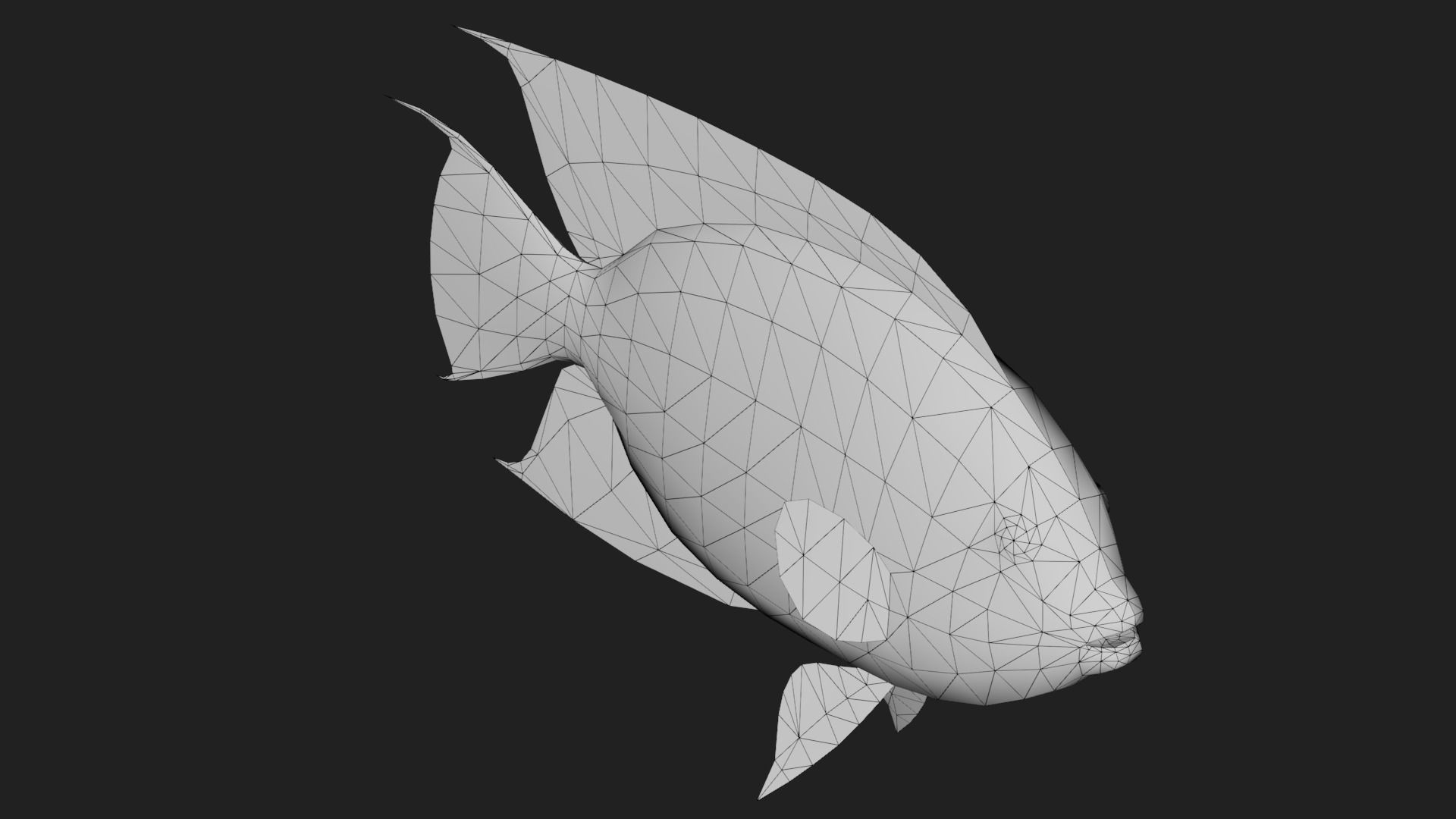 Rockbeauty Low-poly 3D model_3