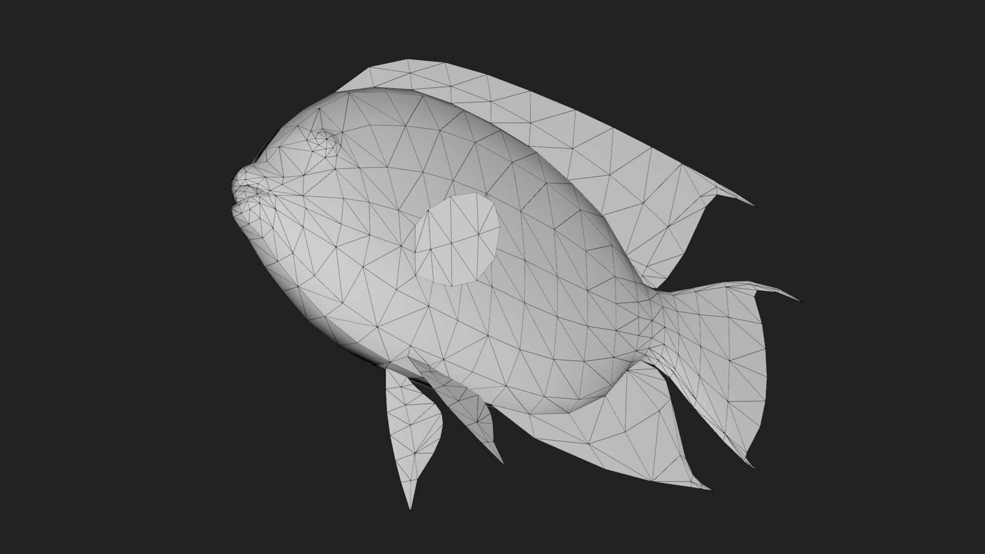 Rockbeauty Low-poly 3D model_5