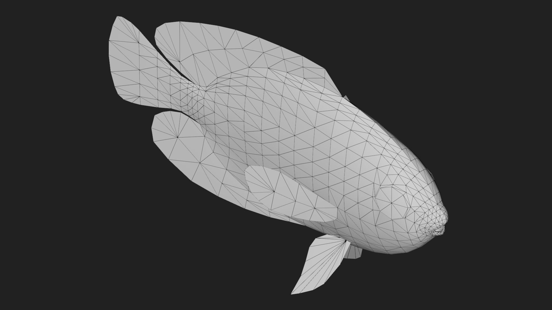 Bass fish Low-poly 3D model_3