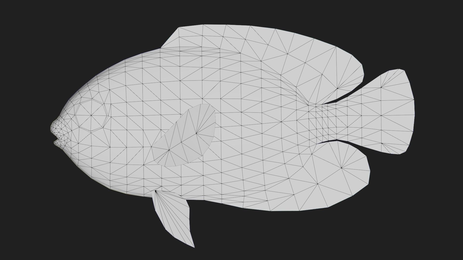 Bass fish Low-poly 3D model_1