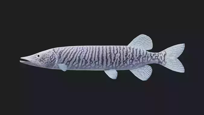 Pike fish Low-poly 3D model