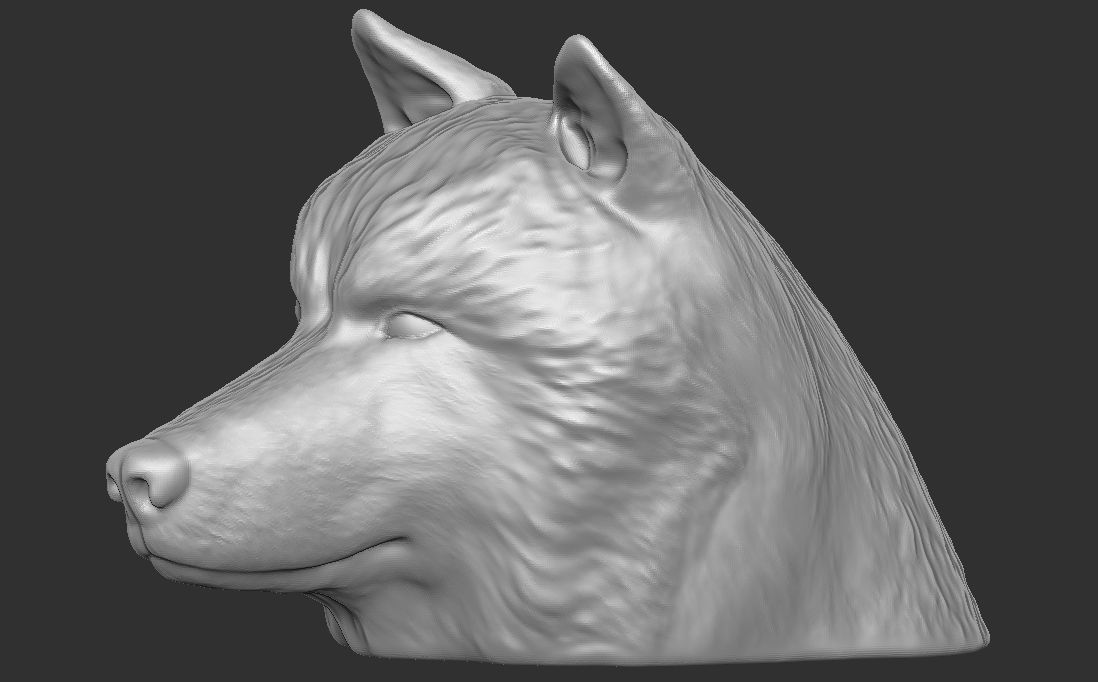 Alaskan Malamute dog head for 3D printing 3D print model_15