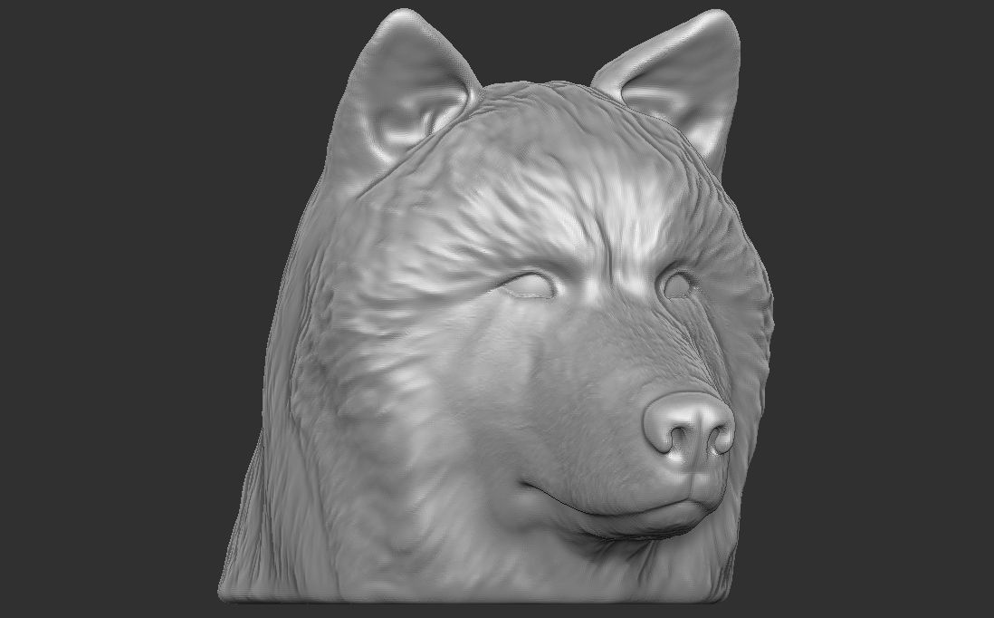 Alaskan Malamute dog head for 3D printing 3D print model_5