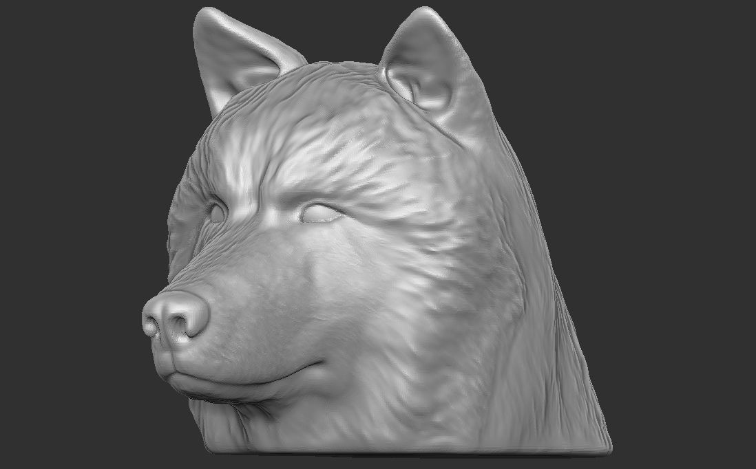Alaskan Malamute dog head for 3D printing 3D print model_16