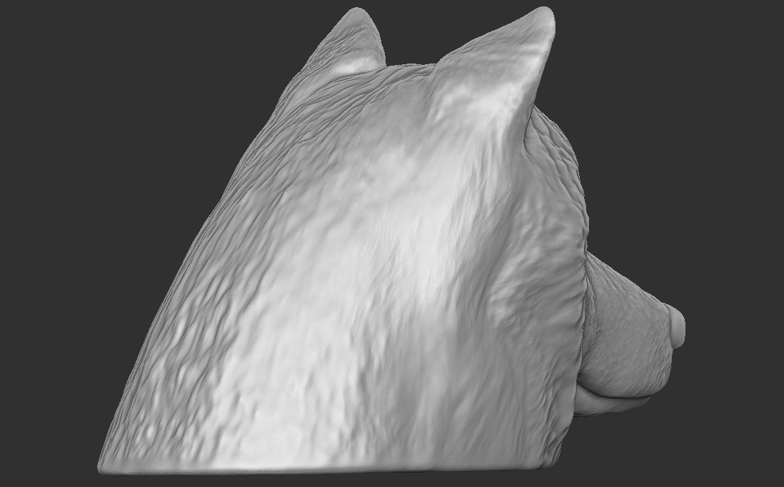 Alaskan Malamute dog head for 3D printing 3D print model_9
