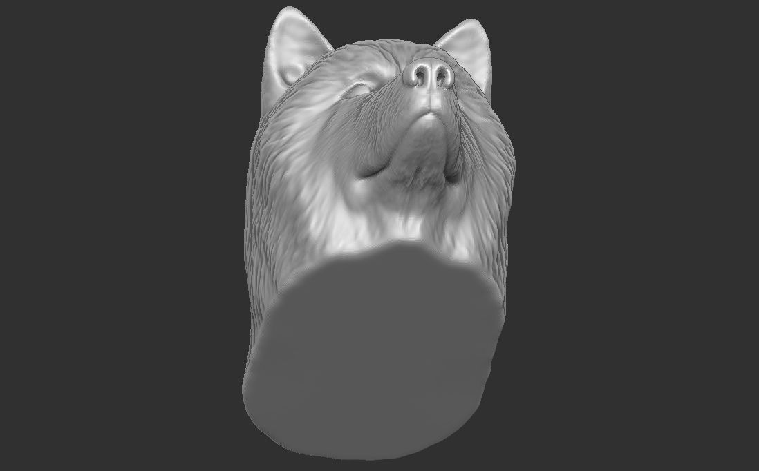 Alaskan Malamute dog head for 3D printing 3D print model_21