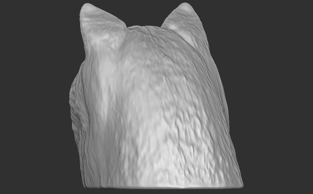 Alaskan Malamute dog head for 3D printing 3D print model_12