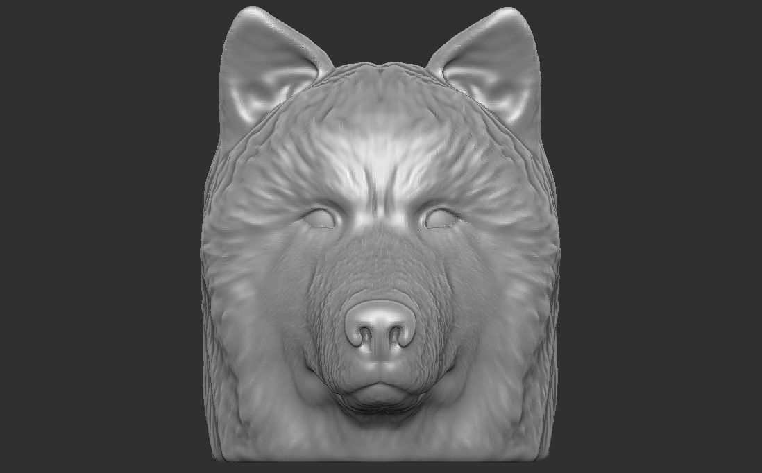 Alaskan Malamute dog head for 3D printing 3D print model_4