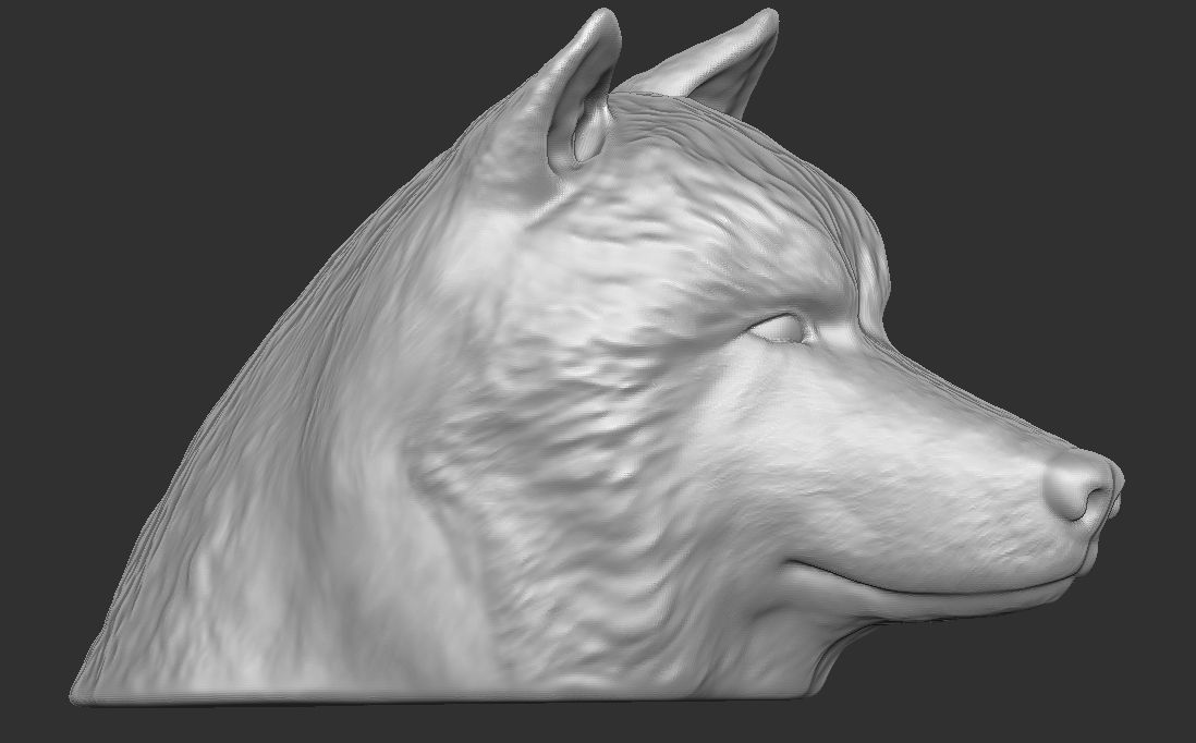 Alaskan Malamute dog head for 3D printing 3D print model_7