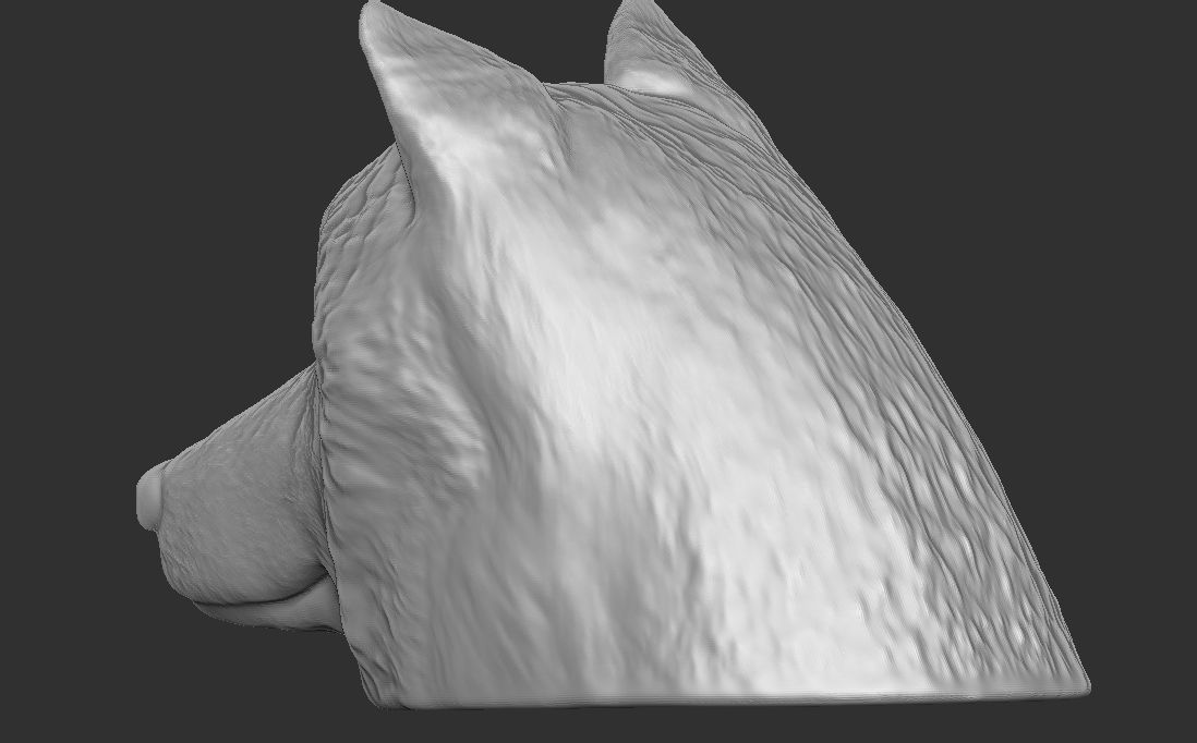 Alaskan Malamute dog head for 3D printing 3D print model_13
