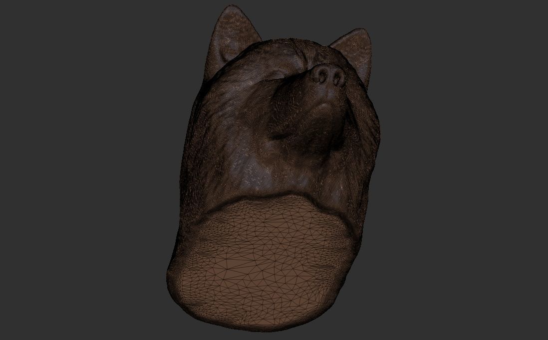 Alaskan Malamute dog head for 3D printing 3D print model_24