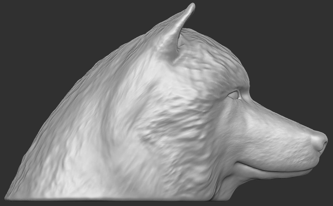 Alaskan Malamute dog head for 3D printing 3D print model_8