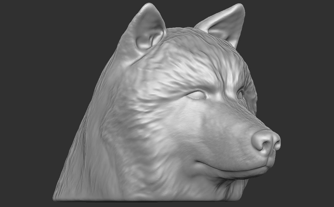 Alaskan Malamute dog head for 3D printing 3D print model_6