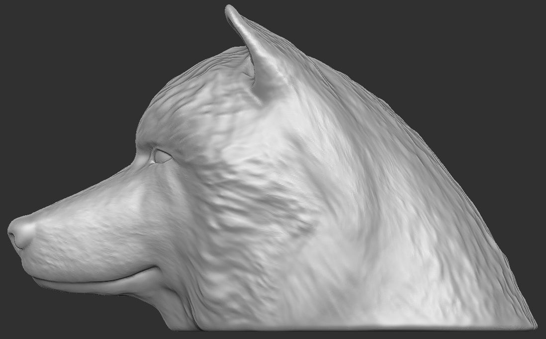Alaskan Malamute dog head for 3D printing 3D print model_14