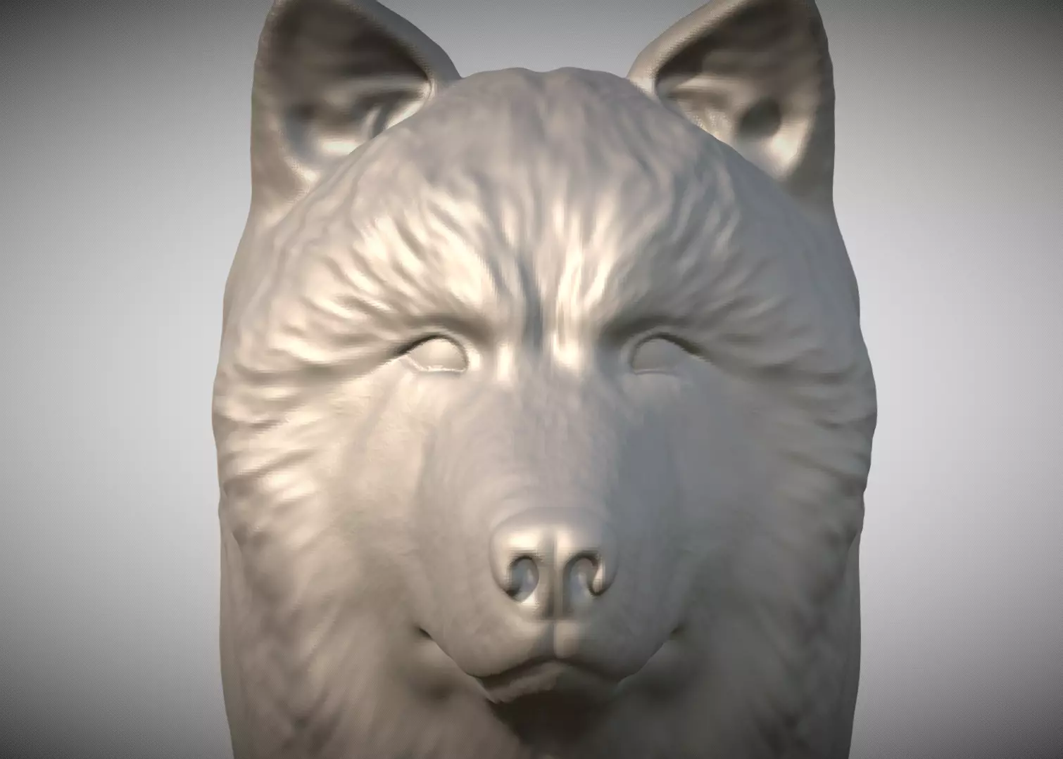 Alaskan Malamute dog head for 3D printing 3D print model_0