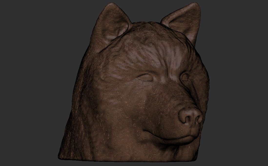 Alaskan Malamute dog head for 3D printing 3D print model_23