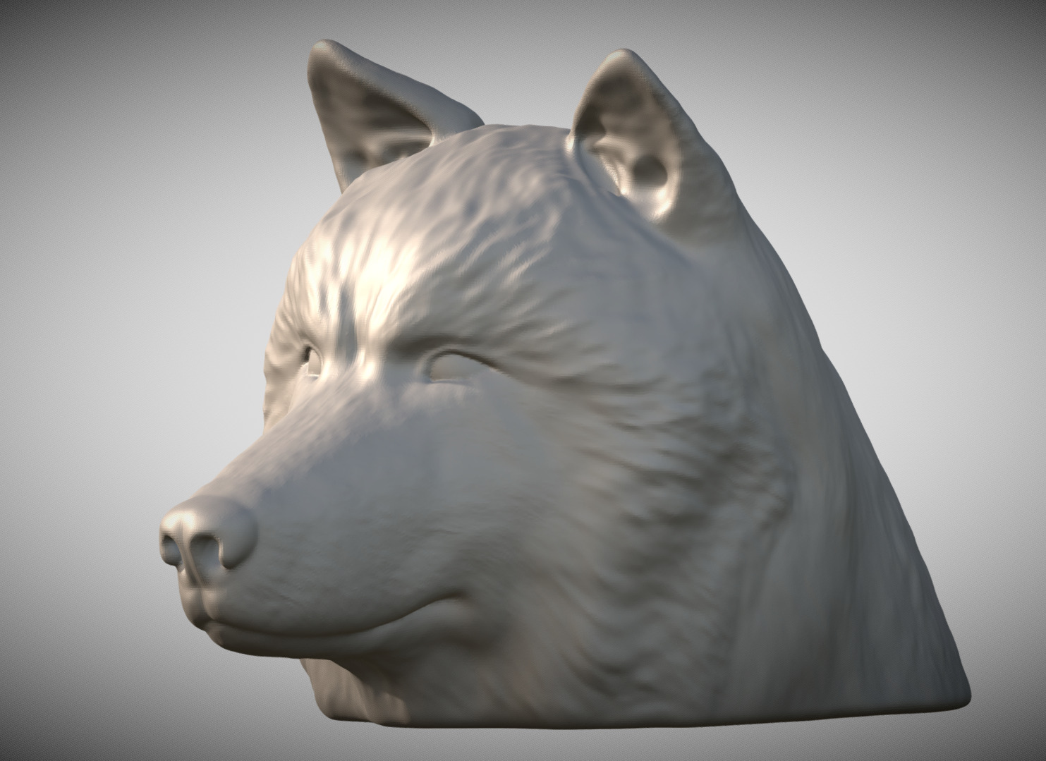 Alaskan Malamute dog head for 3D printing 3D print model_2