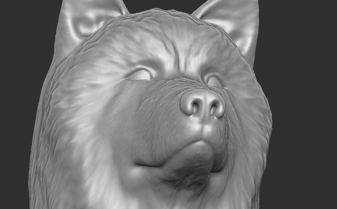 Alaskan Malamute dog head for 3D printing 3D print model_18
