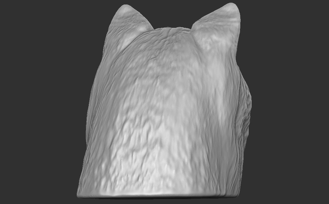Alaskan Malamute dog head for 3D printing 3D print model_10