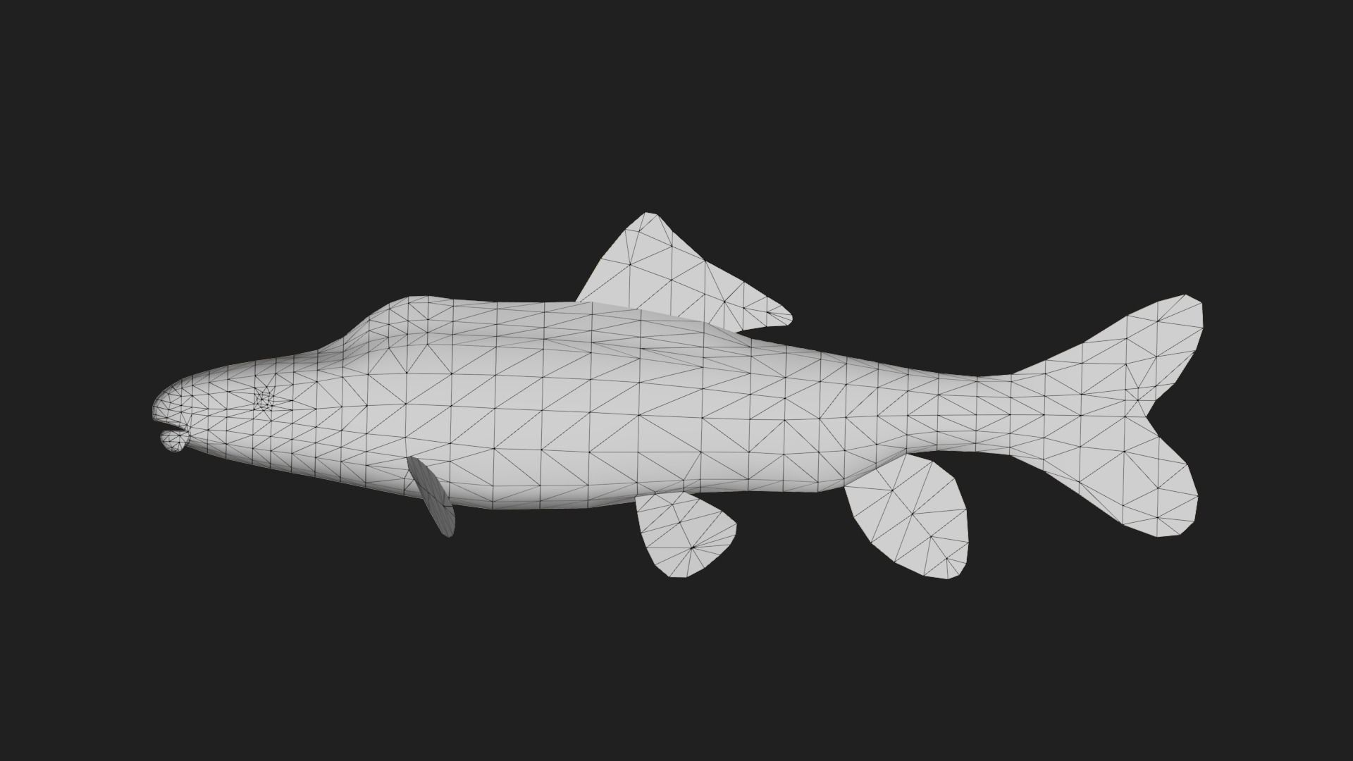 Carp fish Low-poly 3D model_1